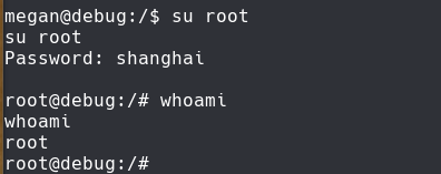 ssh_command.