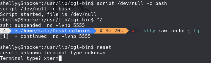 ssh_command.