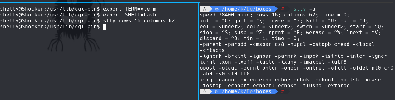 ssh_command.