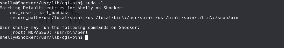 ssh_command.