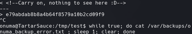 ssh_command.