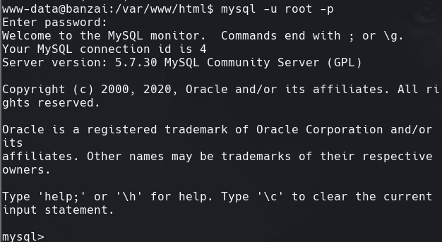 ssh_command.