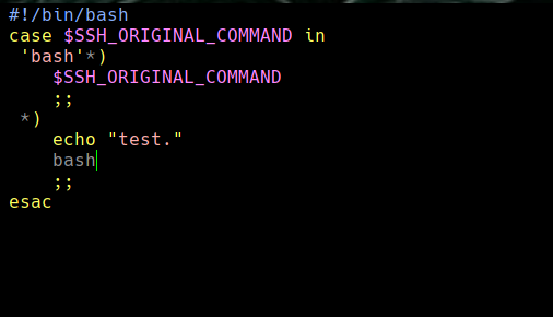 ssh_command.