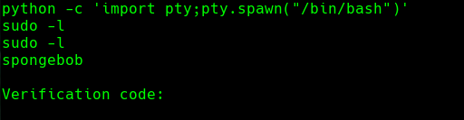 ssh_command.